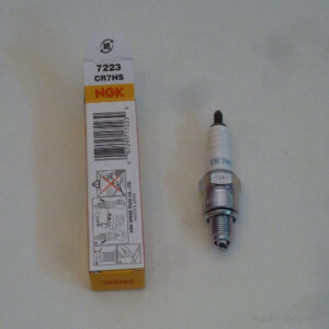P1180275.jpg