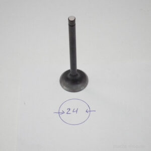 DSCF6590.jpg